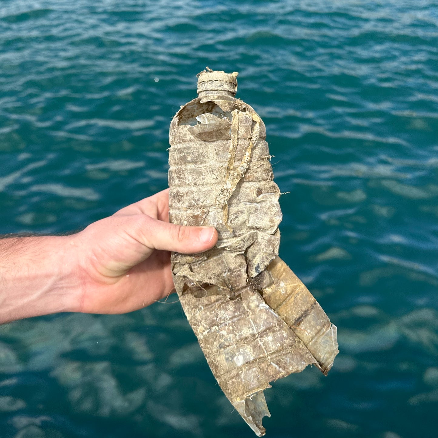 Clean Seas Subscription